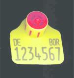 bgbl1_2010_j0203-1_0090.jpg